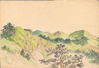 藏品(櫻峰)的圖片