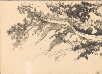 藏品(瀑布)的圖片