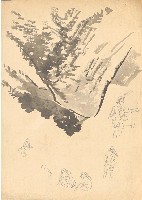 藏品(山 (有鄒族人物）)的圖片