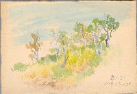 藏品(新人崗 （橫貫公路）)的圖片