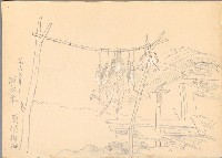 藏品(蘭嶼曬魚乾)的圖片