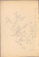 藏品(古松之枝幹)的圖片