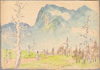 藏品(松嶺)的圖片