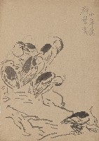 藏品((1)群鷺圖；(2)(上半)柳樹 (下半)蓮葉)的圖片