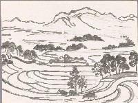 藏品(山、梯田)的圖片