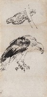 藏品(鷲鷹)的圖片