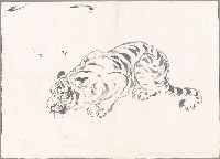 藏品(喝水虎)的圖片