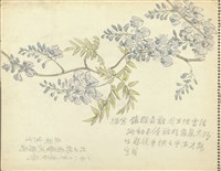 藏品((1)紫藤紫色花；(2)峇里島特色十景及山)的圖片