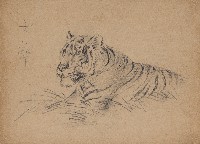 藏品(半身老虎)的圖片