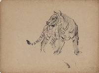 藏品(虎─站立轉身)的圖片