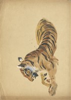 藏品((1)虎─蹲坐 （彩色）；(2)虎一蹲坐一休睡)的圖片