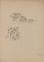 藏品(兩頭虎)的圖片