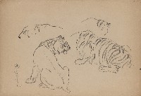 藏品((1)老虎局部；(2)老虎動作)的圖片