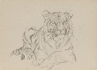 藏品((1)虎坐姿；(2)虎站姿)的圖片