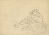 藏品((1)虎（草稿 ）；(2)兔群)的圖片