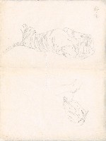 藏品(臥虎及夜露鳥)的圖片