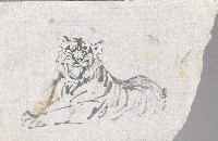 藏品(坐虎)的圖片