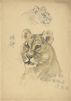 藏品((1)雌獅（彩色）；(2)虎樹草稿)的圖片