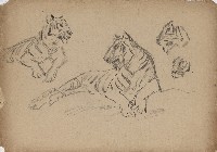 藏品((1)虎；(2)鹿群)的圖片