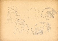 藏品(小狗)的圖片