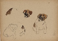 藏品((1)小狗；(2)小狗)的圖片