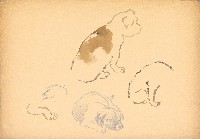 藏品(小狗)的圖片