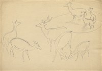 藏品((1)鹿各種姿態；(2)真鶴)的圖片