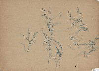 藏品((1)雄鹿；(2)雄鹿)的圖片