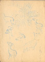 藏品(小鹿)的圖片