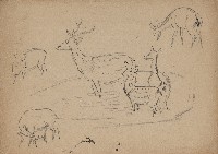 藏品((1)鹿群；(2)真鶴)的圖片