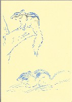 藏品(松鼠)的圖片