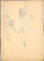 藏品(狸、山貓)的圖片