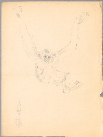 藏品(長臂猿)的圖片