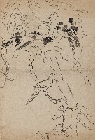 藏品(喜鵲)的圖片