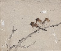 藏品(文鳥（三隻）)的圖片