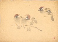 藏品(麻雀（三隻） （彩）)的圖片