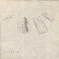 藏品(斑鳩 （部分重點）)的圖片