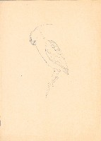 藏品(夜鷺)的圖片