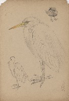 藏品((1)白鷺；(2)花及葉)的圖片