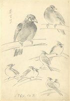 藏品((1)秦吉了、紅冠鳥；(2)小鸚鵡及紅冠鳥)的圖片