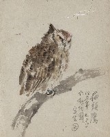藏品(貓頭鷹)的圖片
