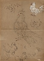 藏品(鴿子（百態）)的圖片