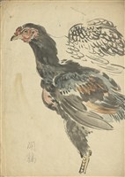 藏品((1)鬪雞；(2)鬪雞 （頭部姿態）)的圖片