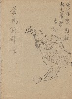 藏品((1)鬪雞（雄）；(2)鬪雞（一對）)的圖片