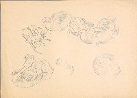 藏品(雞 （休息百態）)的圖片