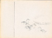 藏品(鴨（四隻）)的圖片