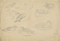 藏品((1)小野鴨 （百態）；(2)小野鴨 （百態）)的圖片