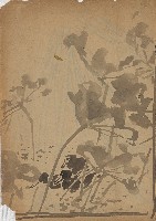 藏品((1)鴨游水；(2)草畫稿)的圖片