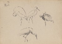 藏品((1)鸕鷀、鵜；(2)獅)的圖片