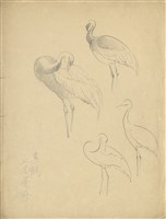 藏品((1)真鶴， 又名蒼鶴；(2)真鶴， 又名蒼鶴)的圖片